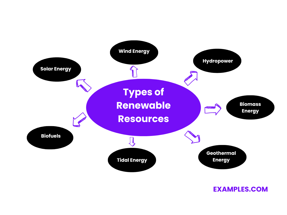 Renewable Resources 20+ Examples, Definition, Types, Characteristics