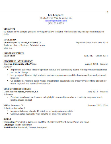 undergraduate student job resume