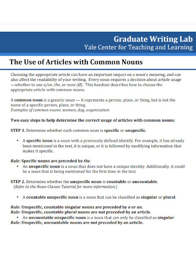 use of articles with common nouns 