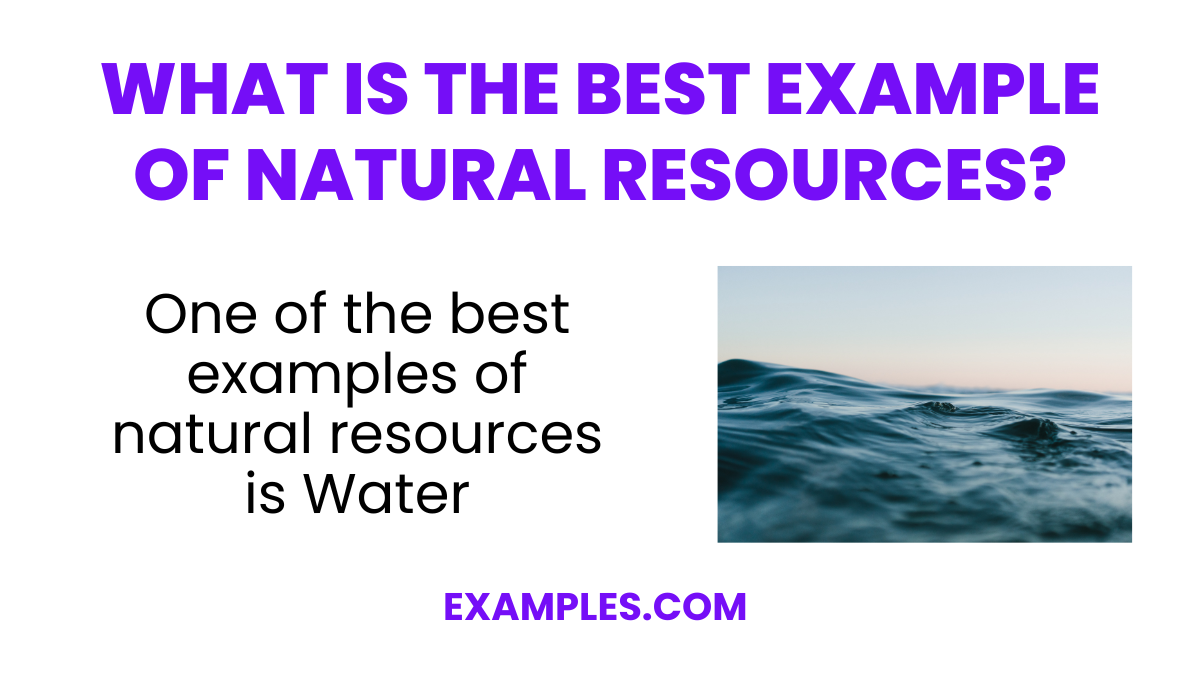 what is the best example of natural resources