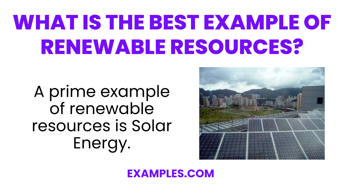 what is the best example of renewable resources