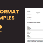 CV Format Examples