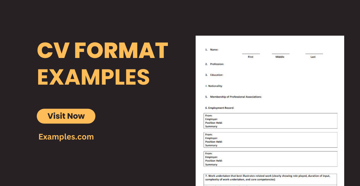 CV Format Examples