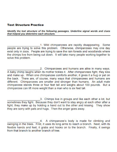 text structure practice
