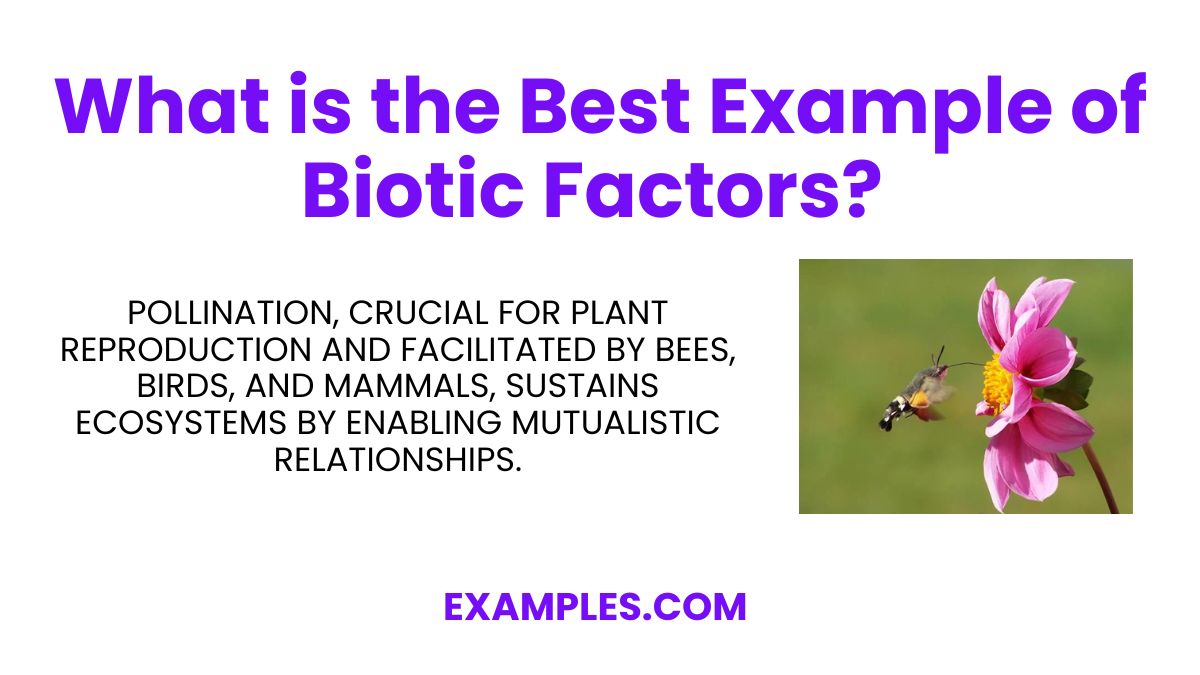 what is the best example of biotic factors