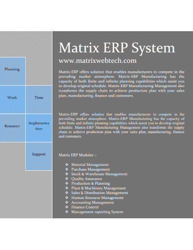 matrix erp system template 
