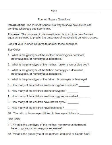 punnett square questions template 