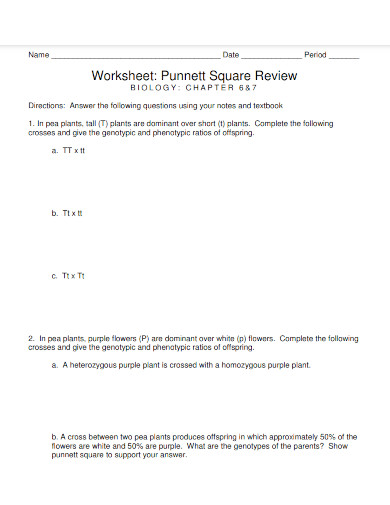 punnett square review template 