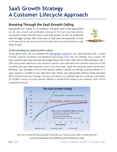 saas growth strategy
