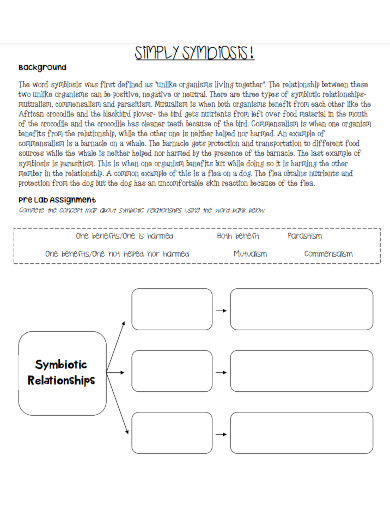 symbiotic relationships template 
