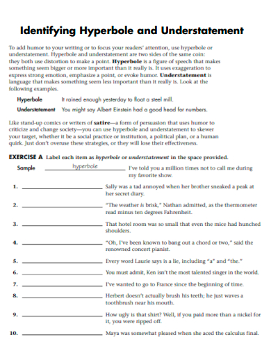 Understatement Example Pdf Examples