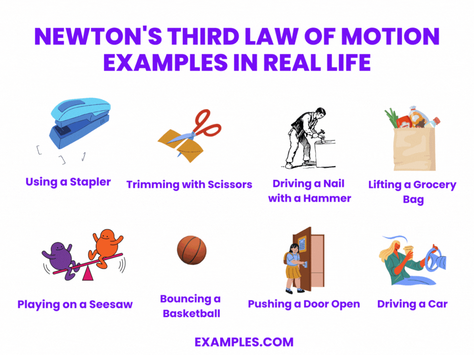 newtons third law of motion examples in real life