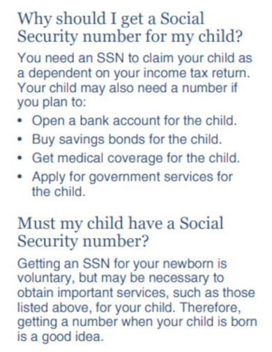 Social Security Number Examples Pdf Examples 6123