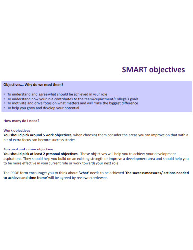 30+ Smart Objectives Examples [ Company, University, Employee ] | Examples