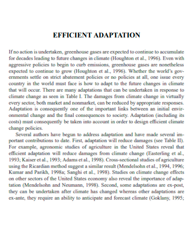 efficient adaptation