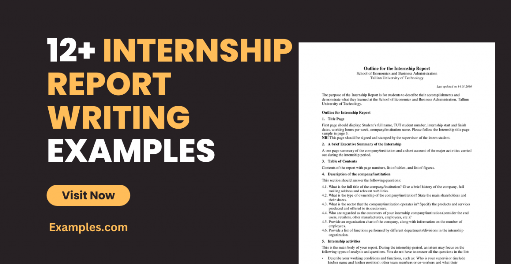 Internship Report Writing Examples