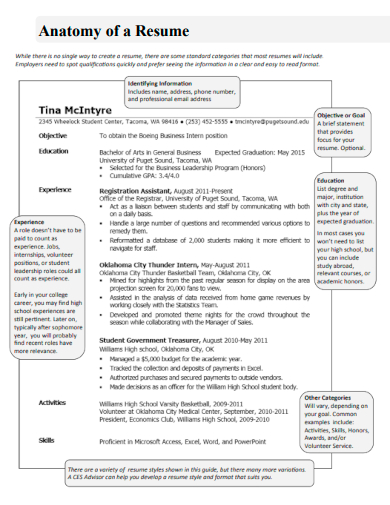 anatomy of a resume