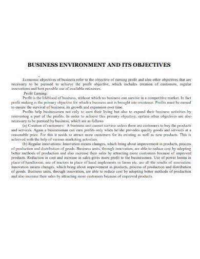 business environment and its objectives