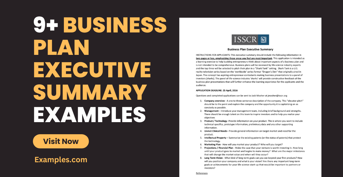 business plan executive summary examples