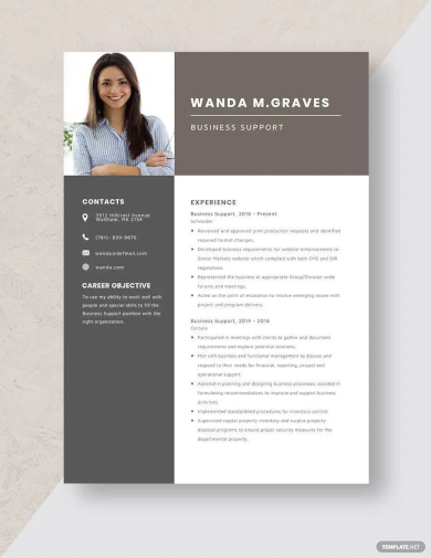 business support resume