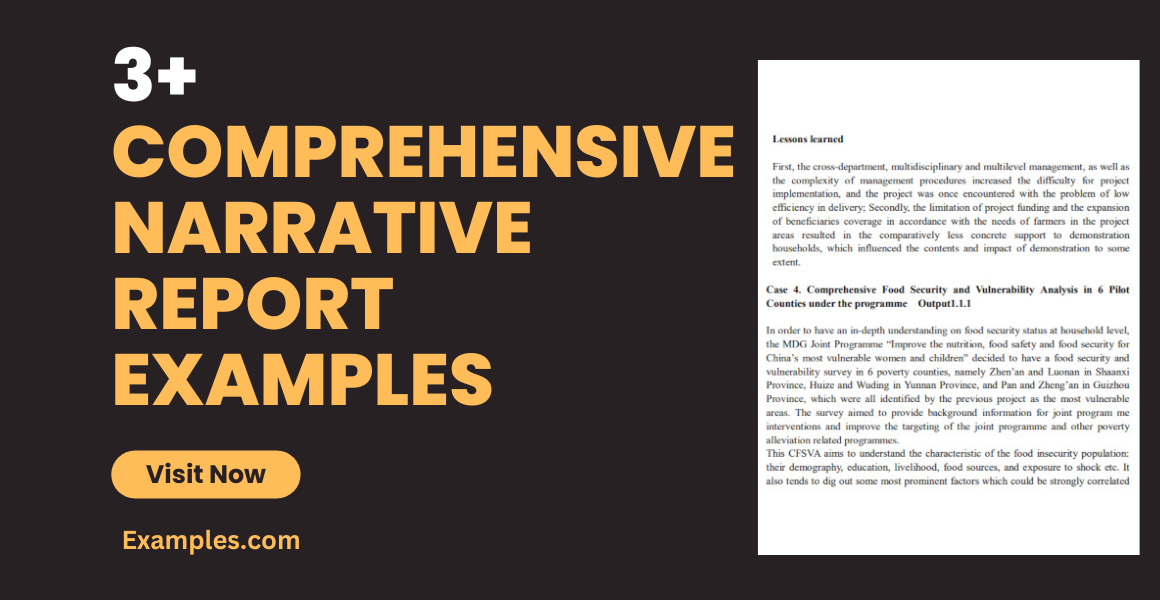 Comprehensive Narrative Report Examples