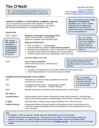 23+ IT Resume - Example, Word, Apple Pages, Google Docs, PSD, InDesign ...