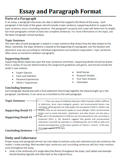 Essay and Paragraph Format