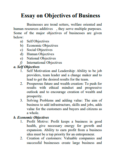essay on objectives of business