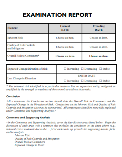 examination report format