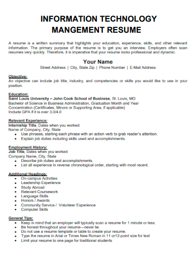 it management resume