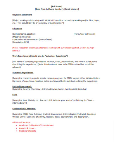 msp internship resume template