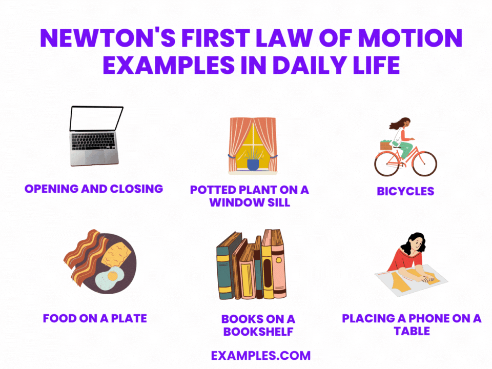 newtons first law of motion examples in daily life