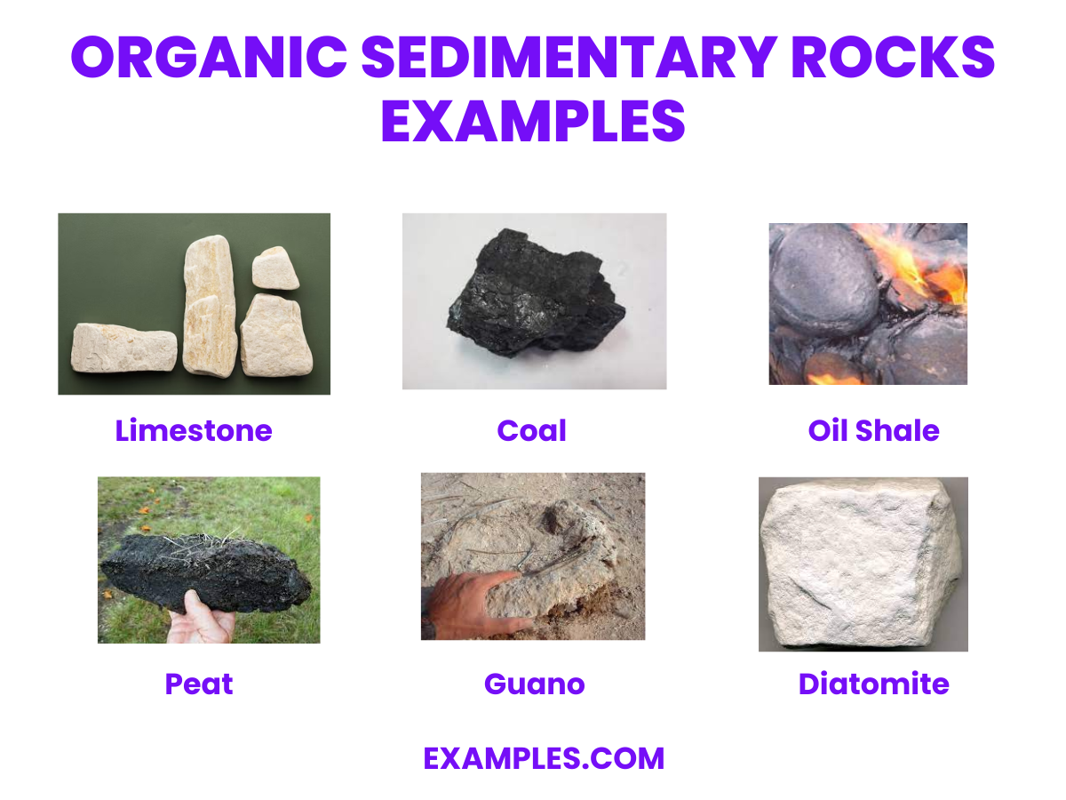 organic sedimentary rocks