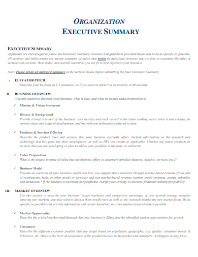 organization executive summary format