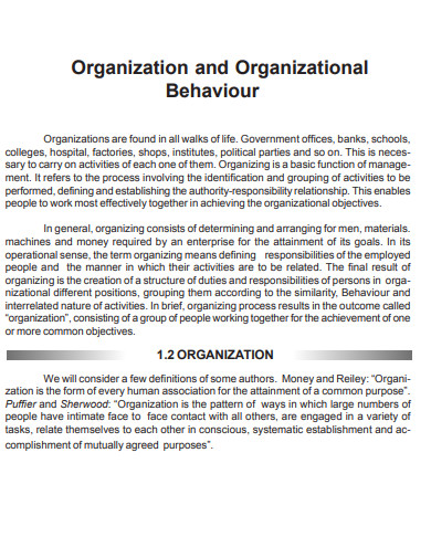 organization and organizational behaviour