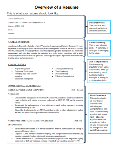 overview of a resumes
