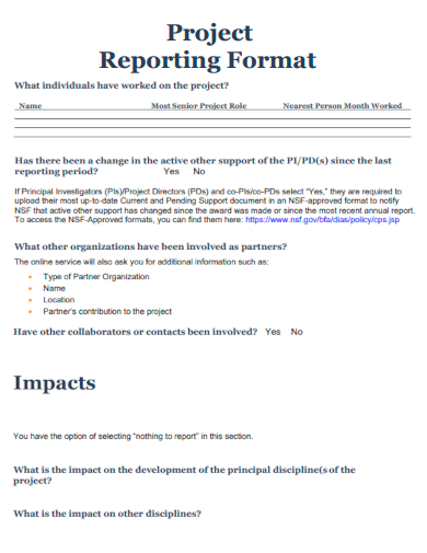 project reporting format