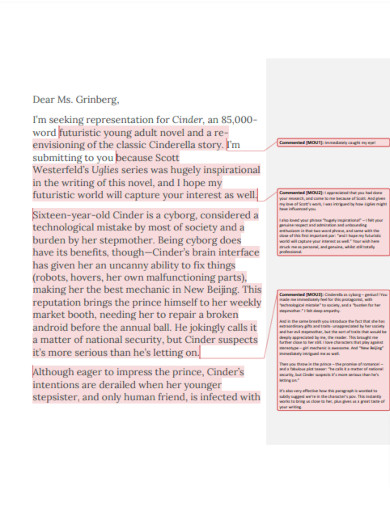 query letter annotated