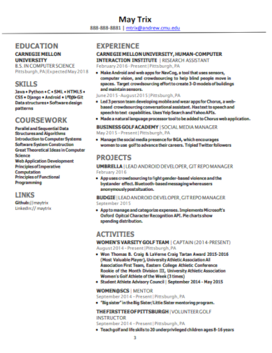 sample resumes example