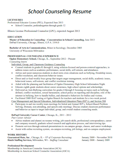 school counseling resume