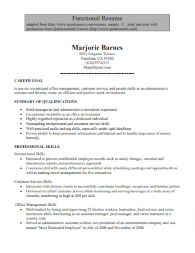 standard functional resume1