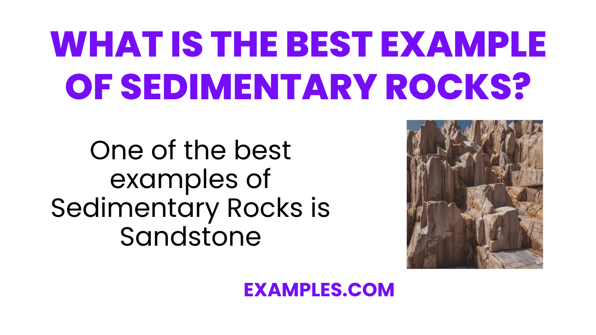 what is the best example of sedimentary rocks