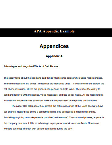 appendix in research paper pdf