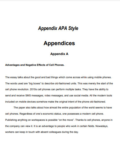apa style appendix