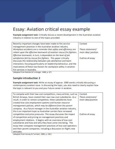 aviation critical essay example