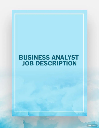 business analyst job description
