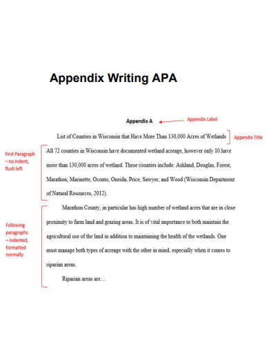 writing apa appendix