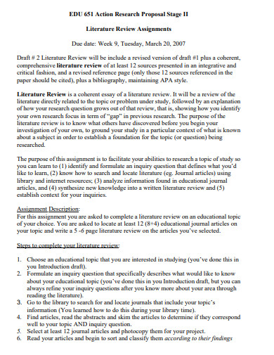 19+ APA Literature Review Examples in Word, Google Docs, PDF | Examples