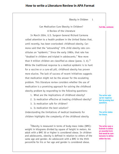 apa literature review format