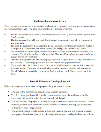 apa literature review guidelines